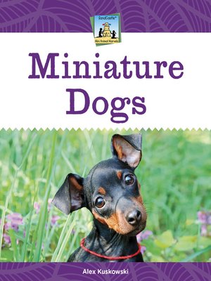 cover image of Miniature Dogs